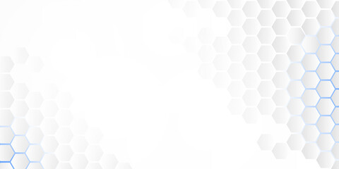Abstract embossed hexagon, honeycomb white background. light and shadow. Vector. White presentation background
