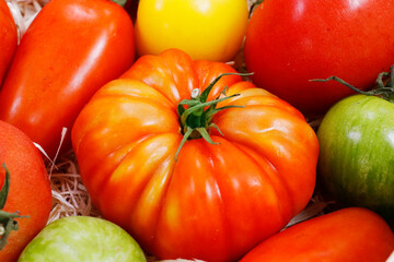 .heirloom tomatoes also known as heritage tomatoes