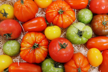 heirloom tomatoes also known as heritage tomatoes.