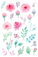 Watercolor botanical illustrations. Pink roses and mint leaves. Floral Design elements. Perfect for wedding invitations, greeting cards, posters, prints