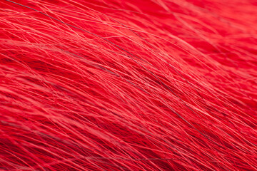 Bright red fur close-up, used as a background or texture. Soft focus
