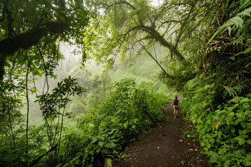 camino a la cima del Acatenango, descubriendo Guatemala