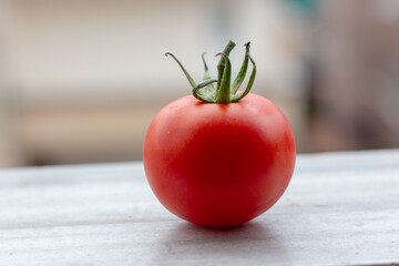 Tomato