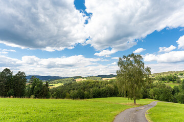 Wanderung von Stallwang auf den Gallner im Bayerischen Wald