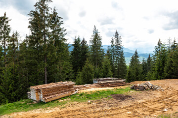 stocks of wood raw materials are dried on a hill in the forest