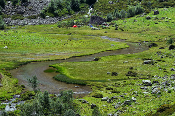 Small river in summer season in a morning, Caucasus mountain range © Oleg