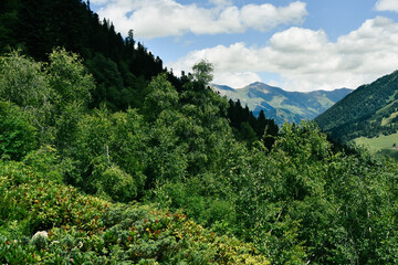 Summer mountains green grass and blue sky landscape. Caucasus mountains