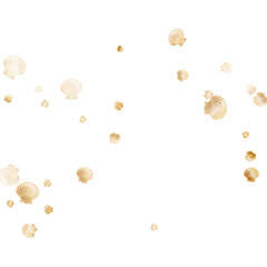 Gold seashells vector, golden pearl bivalved mollusks. 
