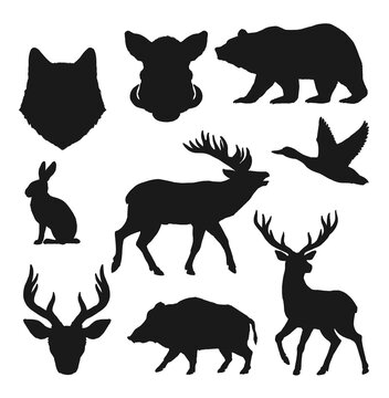 Animals silhouettes, hunting vector icons of wild bear, deer and elk. Hunt trophy animals boar hog, moose and rabbit o hare, forest wolf or fox head silhouette, hinting fowl duck bird and stag antlers