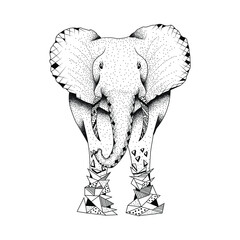 Elefante con líneas geométricas deformándose. Estilo puntillismo y mandalas geométricas  © ashbel
