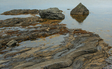 Zen Seascape with kelp and Sedimentary and Metamorphic Grey and Brown rock. Pyramid and Curved  natural stone.Geology and Blue Water. Wendy Nuttall
