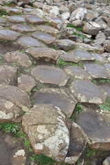 The Giant's Causeway is an area of about 40,000 interlocking basalt columns, the result of an ancient volcanic fissure eruption. It is located in County Antrim on the north coast of Northern Ireland