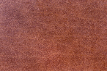 Fototapeta premium Brown leather abstract background. Close up brown leather texture. Brown background