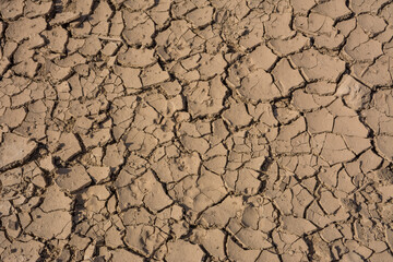 Cracked earth