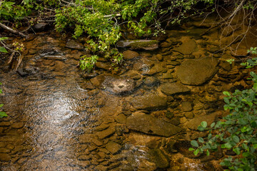 Glaring Stones in the Brook