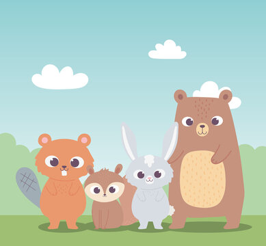 cute beaver squirrel bear and little rabbit cartoon animals