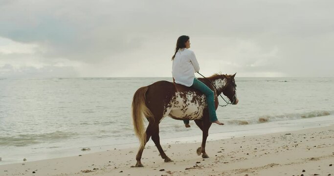 Woman horseback riding brown horse down the beach at sunrise, majestic slow motion by the ocean