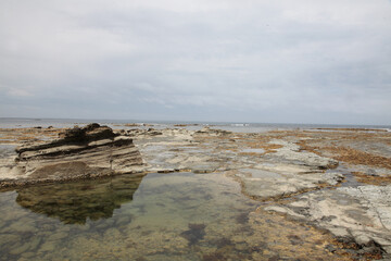 Details of the Bass Coast in Victoria, Australia, feauturing the coastline, beach, rock formations, seaweed and natural beauty.