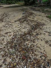 The rocky sand at beach in Malaysia