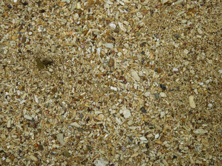 The rocky sand at beach in Malaysia