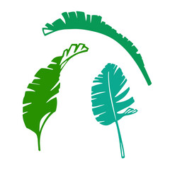 Palm leaves as a design elements. Green and black silhouette on white background. Hand drawn ink style. Tattoo and logo inspiration. Vector image isolated.