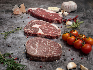 top view of various cuts of raw meat steak with herbs on grey concrete background. food preparation concept.