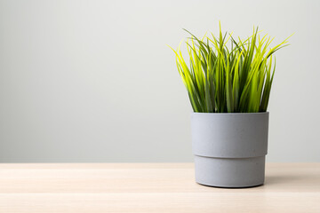 Isolated artificial potted plant on wooden desk
