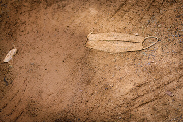 Relic 2020 / covid-19