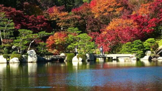 Japanese garden with pond in Hiroshima, Japan. Autumn leaves. Landscape. 4K