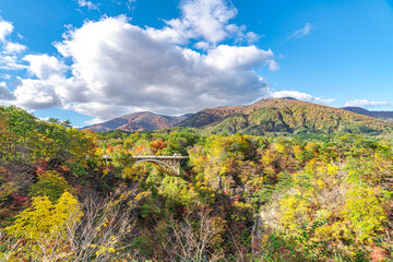 宮城県 鳴子峡 見頃時期の紅葉 Wall Mural Wallpaper Murals Fotravel