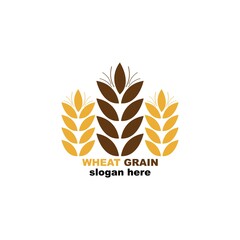 Grain wheat logo concept, Agriculture wheat Logo Template vector icon
