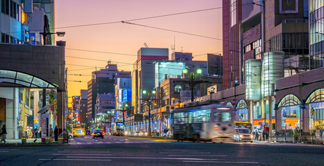 Fototapeta na wymiar Kagoshima city downtown center, cityscape in Kyushu, Japan