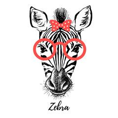 Hand drawn sketch zebra hipster head illustration. Isolated cute trendy portrait on white background