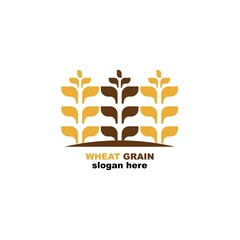 Grain wheat logo concept, Agriculture wheat Logo Template vector icon
