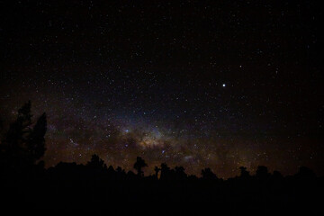 Fototapeta na wymiar Milky Way and Jupiter - Franz Josef New Zealand