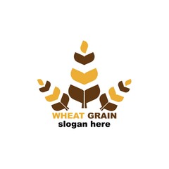 Grain wheat logo concept, Agriculture wheat Logo Template vector icon
