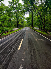 Fototapeta na wymiar Photo Of Empty Road In The Forest.