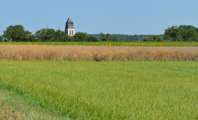Fototapeta na wymiar Vue de l'Abbaye de Fontevraud depuis la campagne