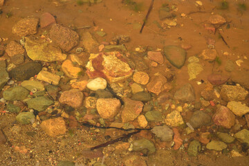 View of rocks on bottom of a lake.