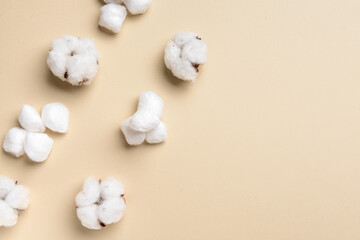 Cotton balls with flowers on color background