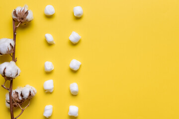Cotton balls with flowers on color background
