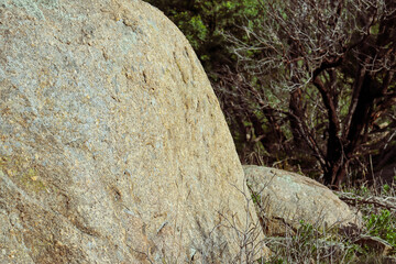 rock formations in the you yangs national park