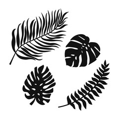 Obraz premium Doodle leaf of palm and monstera set icons isolated on white. Stencil leaves. Natutal collection. Vector stock illustration. EPS 10