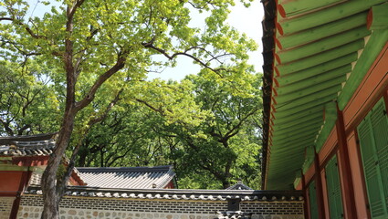 gazebo in the park