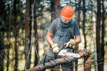 The logger uses a saw. A person using a saw while cutting wood