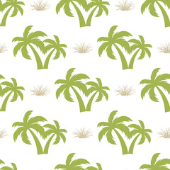 Palm tree. Seamless model  on a white background.