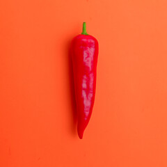 Flat lay view of hot red chili peppers. Food background. Copy space. Bright red orange background. Design banner.