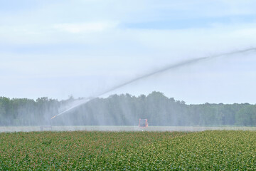 irrigation of crops from the device to water the fields in the background, in the Netherlands