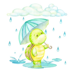 Turtle, standing in the rain with an umbrella. Watercolor concept on an isolated background, in cartoon style.