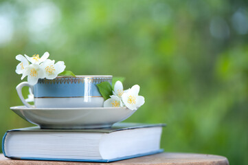Fototapeta na wymiar Beautiful summer composition of a cup of tea, book and Jasmine flowers on a natural green background, a concept of good morning, summer mood, happiness